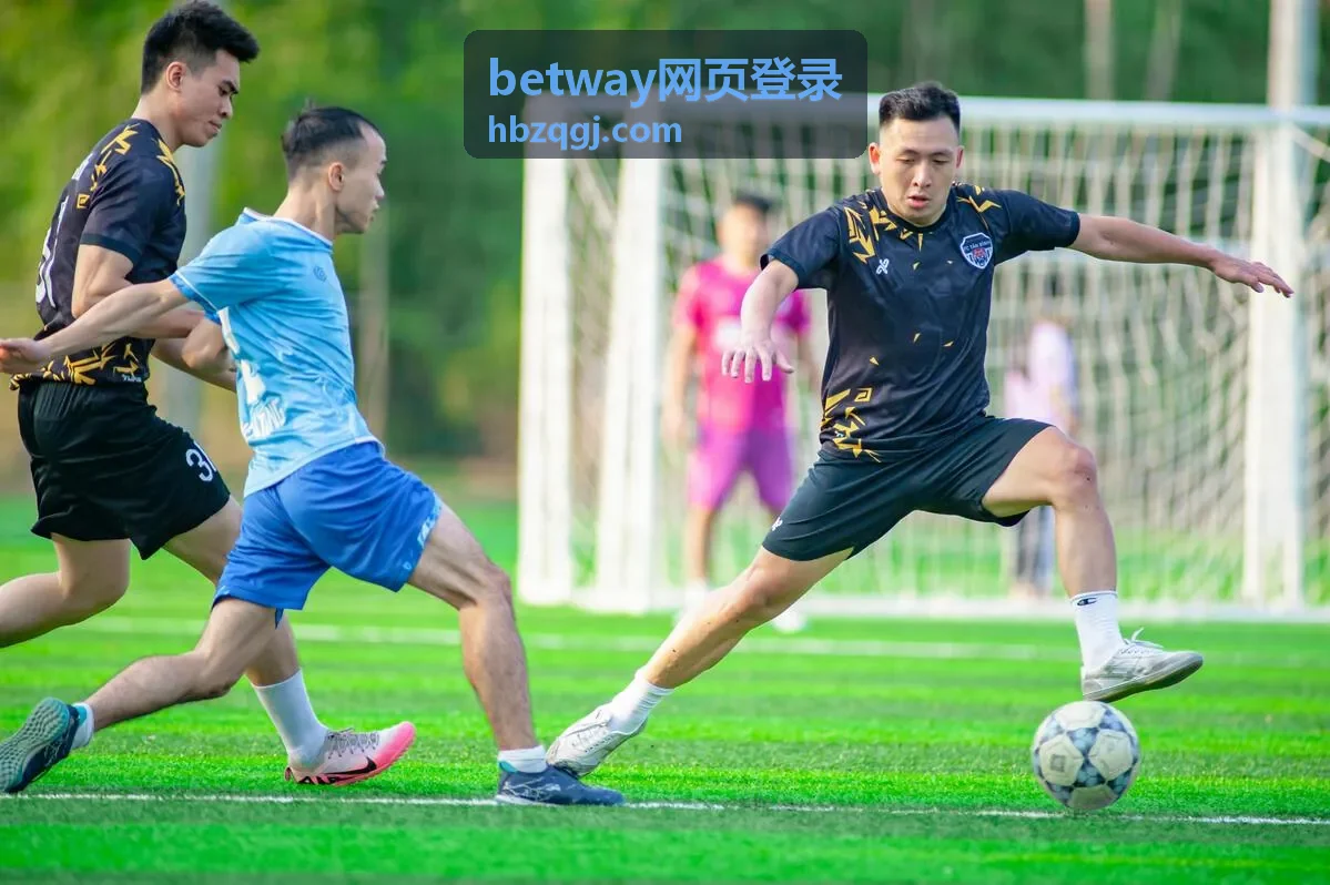 betway网页登录页面填写账号信息的操作示意